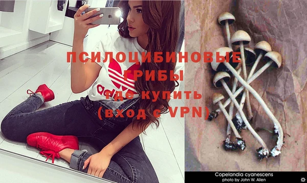 PSILOCYBIN Белоозёрский
