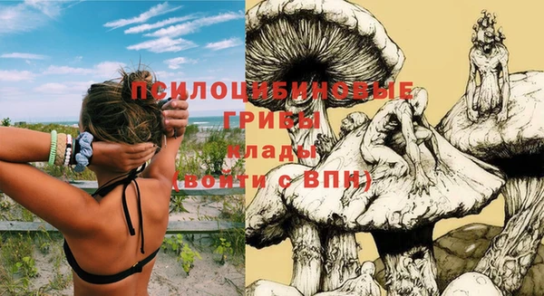 PSILOCYBIN Белоозёрский