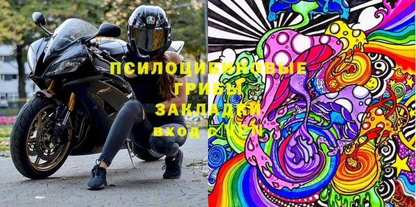 PSILOCYBIN Белоозёрский