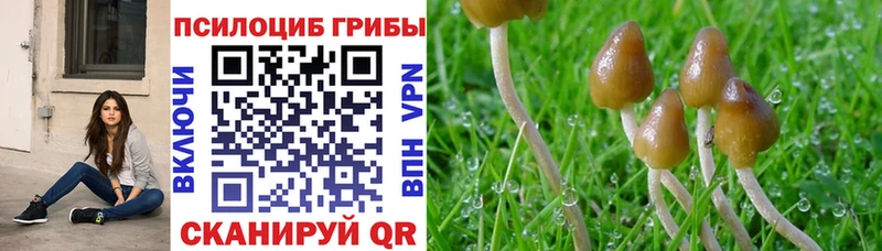 Купить  Обь  Галлюциногенные грибы мицелий 